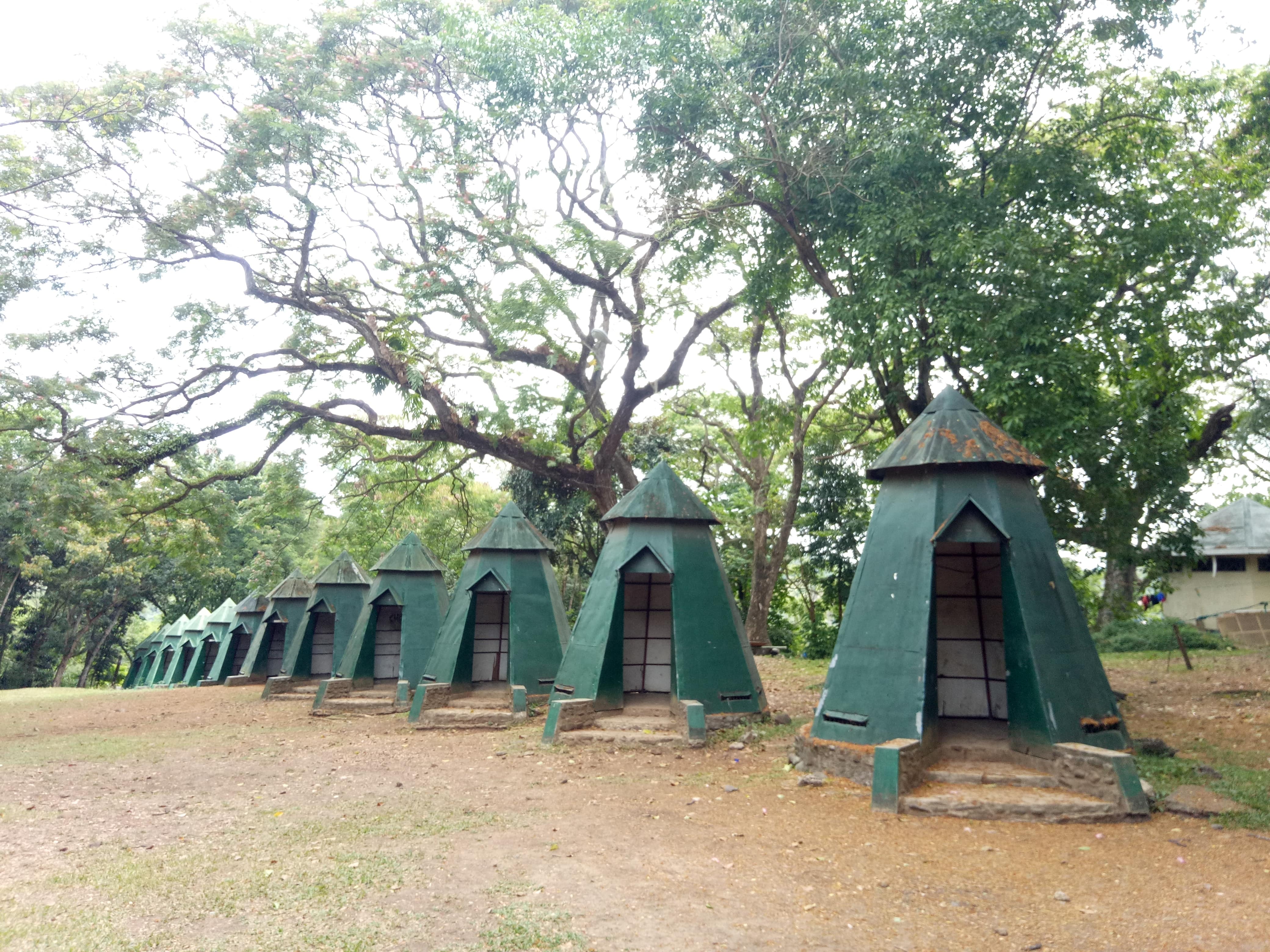 IMG20180319094428-min