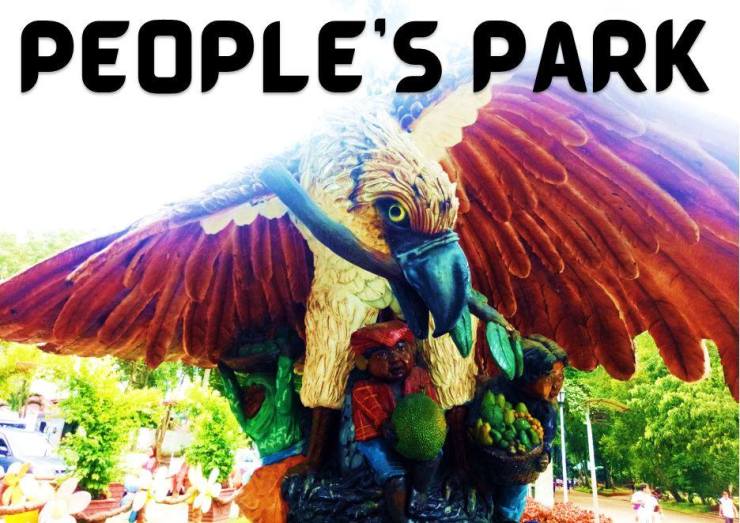 Philippine eagle with Bagobos at People's Park