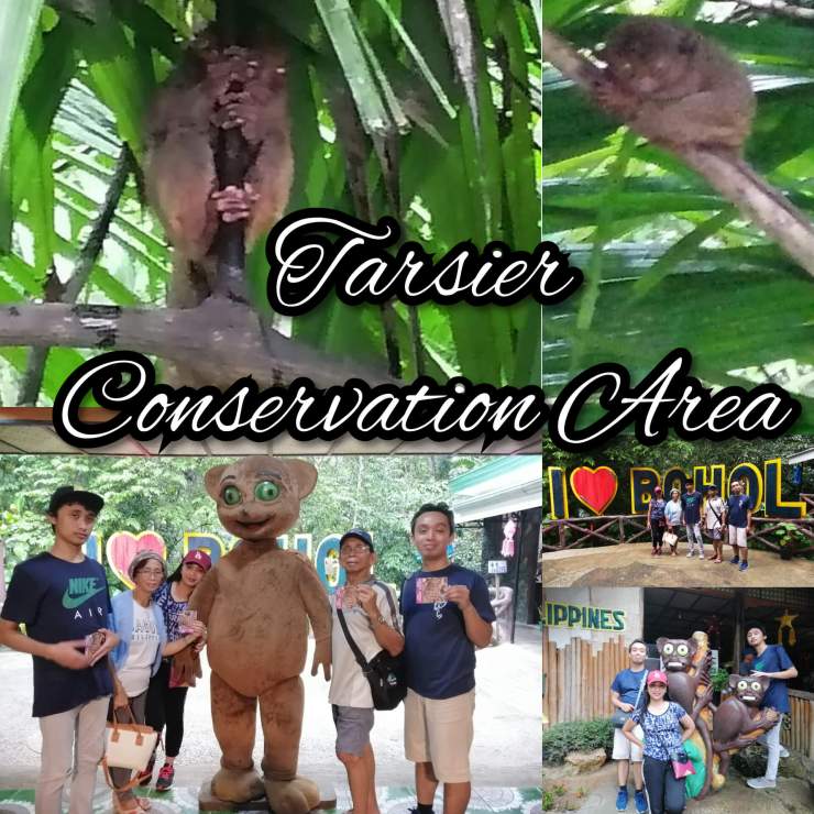 PhotoCollage_20200128_024010019