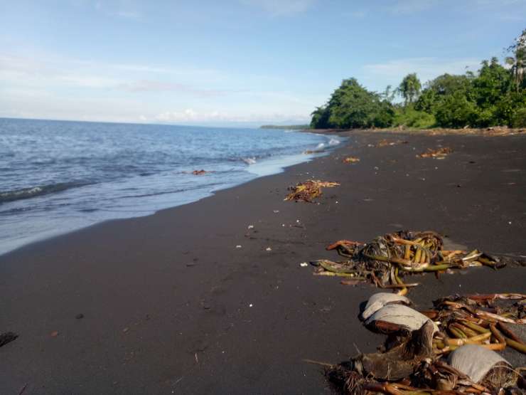 IMG20181115083704 (1)